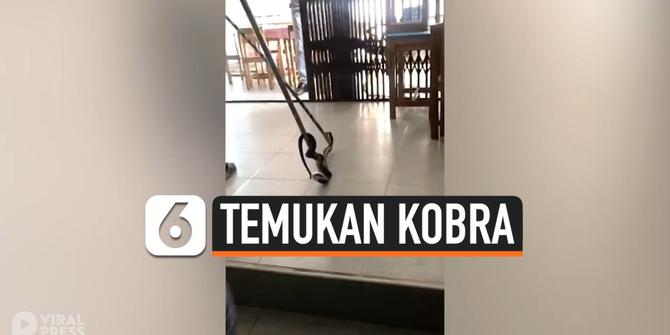 VIDEO: Pelajar Shock Temukan Kobra Berbisa Sembunyi di Toilet Sekolah