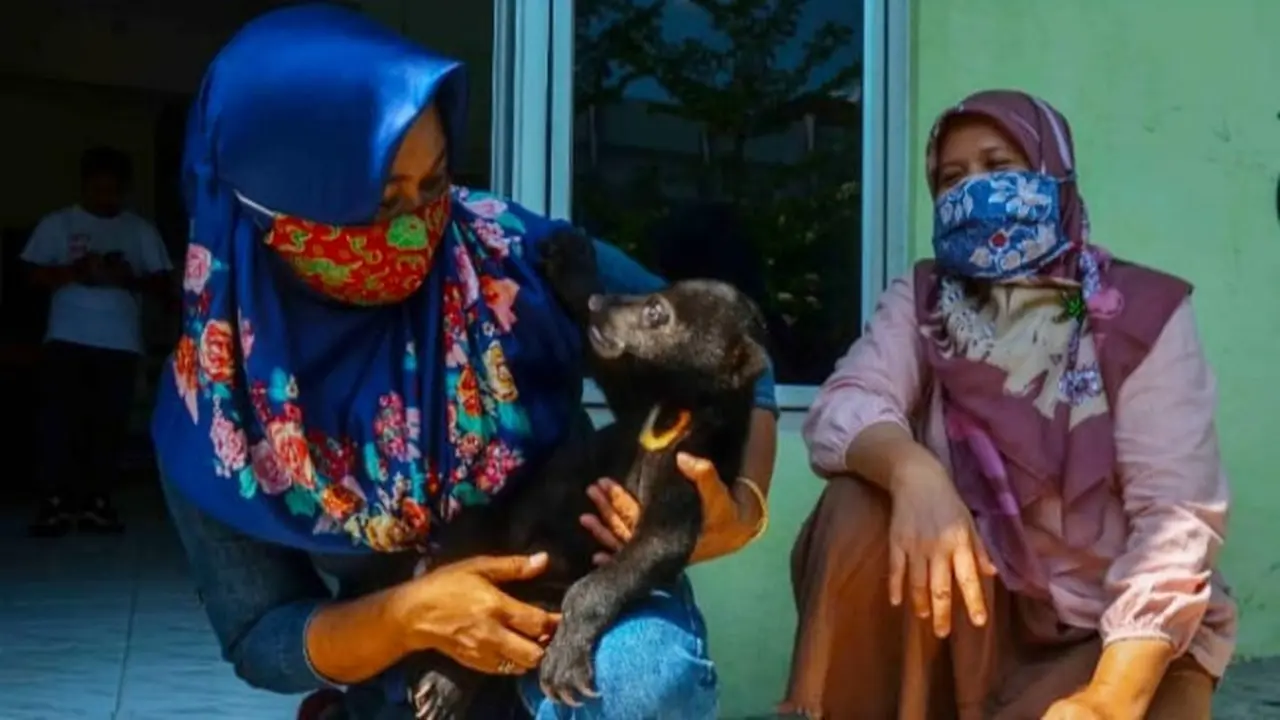 Petugas BBKSDA Riau bersama anak beruang yang terpisah dari induknya di Kabupaten Indragiri Hulu.