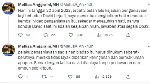 David Ozora Latumahina (Foto: Twitter/@MellisA_An)