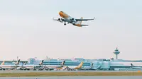 Scoot Buka Rute Penerbangan ke Belitung dan Pontianak di Tengah Gejolak Harga Bahan Bakar