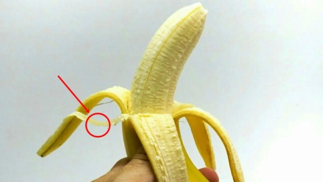 Tahukah Kamu Manfaat Konsumsi Bagian Ini di Buah Pisang?