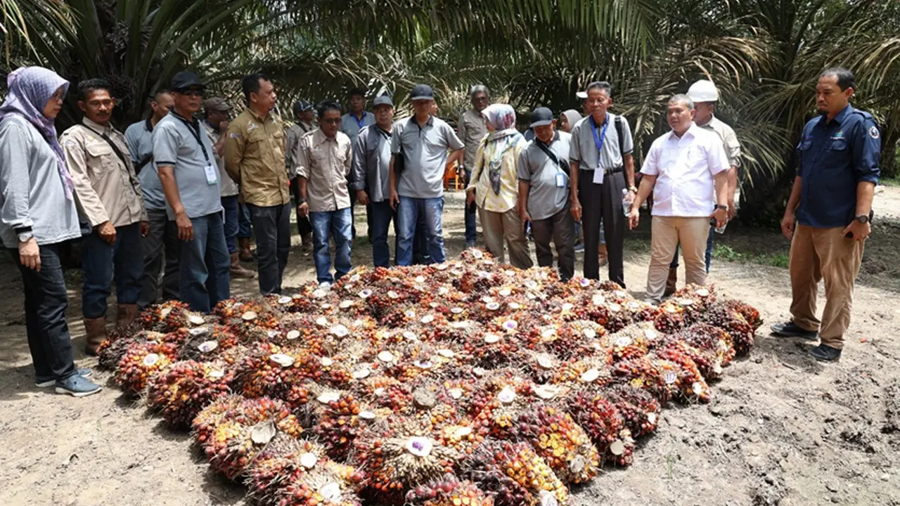 Asosiasi Petani Kelapa Sawit Perkebunan Inti Rakyat (Aspekpir)