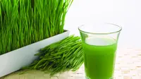 Wheatgrass diolah menjadi jus yang baik untuk tubuh. (Foto: refreshnaturalhealth.com)