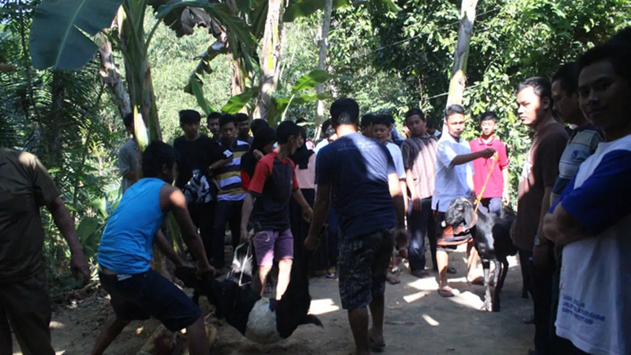 24102013-smp.jpg