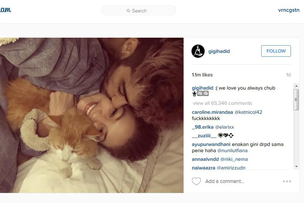 Gigi Hadid dan Zayn Malik 