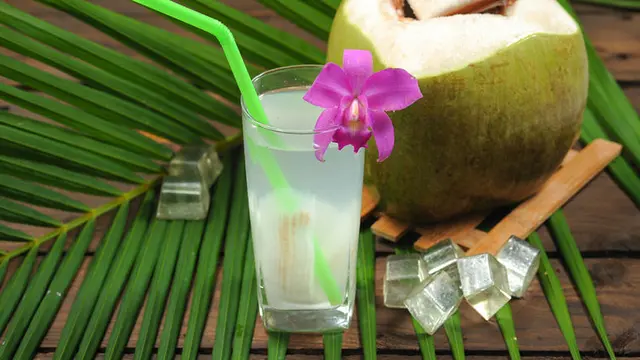 Atasi Dehidrasi Saat Mudik dengan Konsumsi 4 Makanan Ini (Tudsamalee)