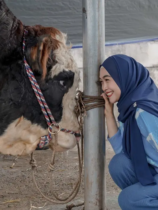 Mengenakan pakaian serba biru, dari atasan, celana hingga kerudungnya, Ria Ricis berfoto bersama hewan qurbanya yaitu sapi yang cukup besar. @riaricis1975