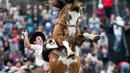 Seorang Gaucho berusaha menaklukan kuda liar dalam Criolla del Prado di Montevideo, Uruguay, Rabu (12/4). Di kota Montevideo acara minggu rodeo diadakan sejak 1925. (AP/Matilde Campodonico)