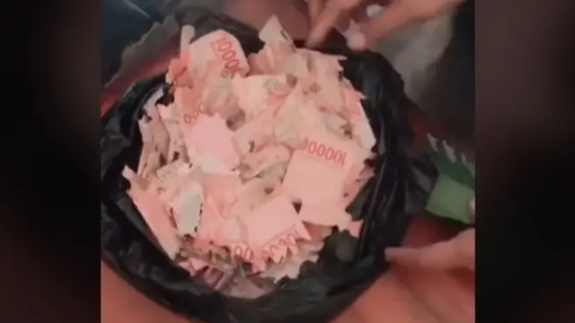 6 Momen Apes Uang Tabungan Dimakan Rayap Ini Bikin Nyesek Banget