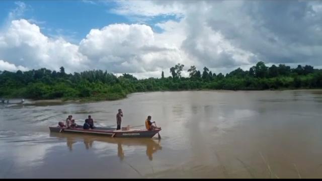Tim SAR Kendari mencari seotrang petani di Konawe Selatan hilang diterkam buaya di Sungai Roraya Konawe Selatan, Rabu (5/7/2023).(Liputan6.com/dok SAR)