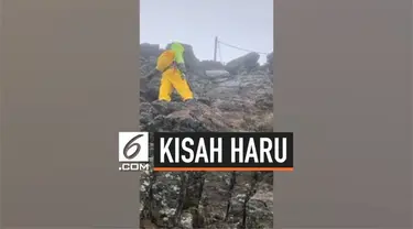 Seorang anak berusia 8 tahun penuhi janji pada mendiang ibunya untuk mendaki gunung tertinggi di Taiwan. Ia pun berhasil mendaki sampai puncak gunung.