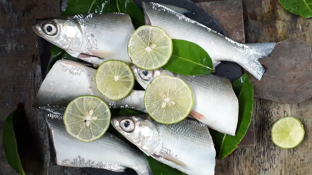 ikan bandeng mentah