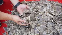 41 kilogram sisik trenggiling sitaan Polda Riau dari pelaku jual beli organ satwa dilindungi. (Liputan6.com/M Syukur)