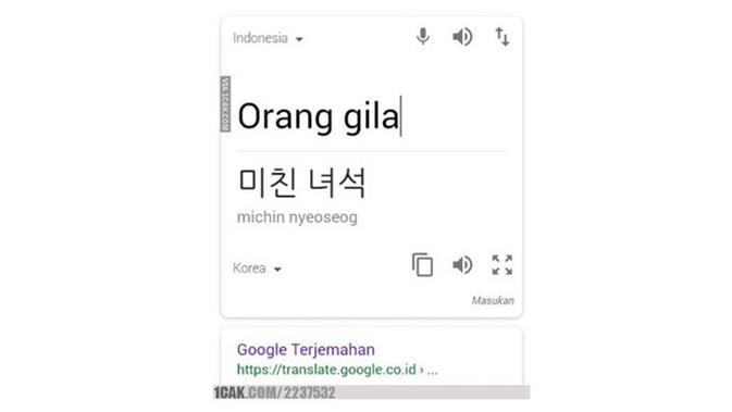 Terjemahan Kocak di Google Translate Ini Bikin Emosi (sumber:1cak.com)