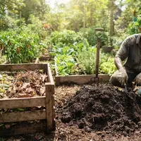 Sampah Sisa Makanan Hasilkan Emisi, KLH Ungkap Cara Mengolahnya