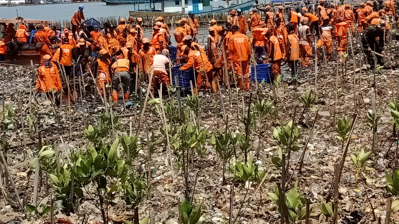Pasukan Oranye