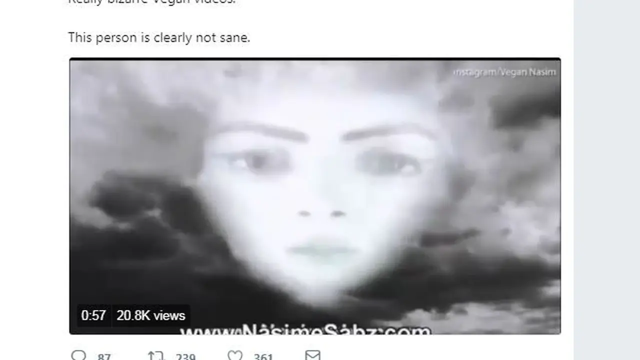 Perilaku ganjil penembak markas YouTube