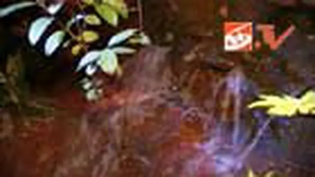 Tanggul Setu Sasak Tinggi Jebol
