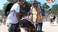 Sebanyak 68 ekor penyu hijau hasil sitaan Polda Bali dilepas kembali ke laut lepas. Pelepasan puluhan ekor penyu berukuran besar dan tua ini diikuti ratusan warga, termasuk turis asing di Pantai Kuta, Bali.