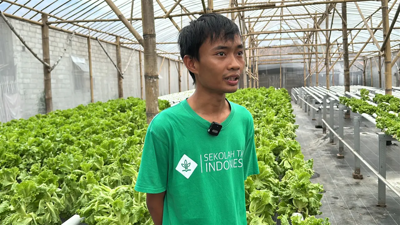 Petani milenial di Madiun jadi pemasok sayur MBG