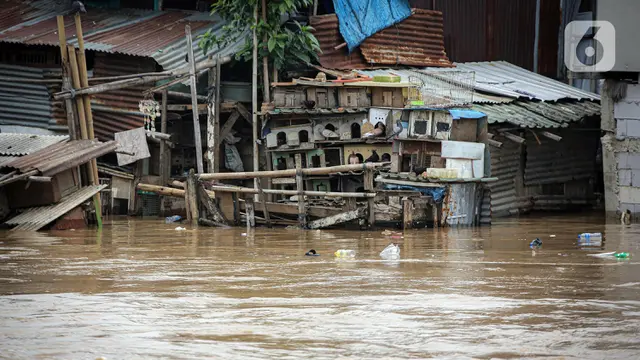 Banjir Akibat Luapan Sungai Ciliwung Rendam 68 RT di Jakarta