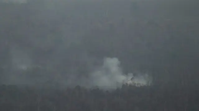 Kebakaran Hutan