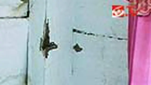 Puluhan Lubang Tembakan Jadi Saksi Bisu