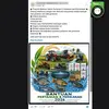 Kumpulan Hoaks Bantuan Bibit Ikan Gratis Beredar di Medsos, Simak Faktanya