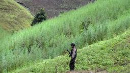 Petugas polisi bersenjata lengkap berjaga di di sebuah ladang di Indrapuri, Aceh, Kamis (26/4). Ladang tersebut berada sekitar 4 kilometer dari permukiman warga. (AFP/Chaideer Mahyuddin)
