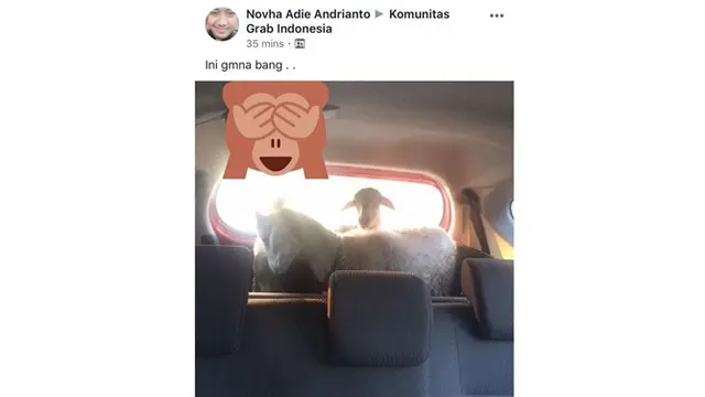 6 Momen Ojol Bawa Hewan Kurban Ini Bikin Geleng Kepala