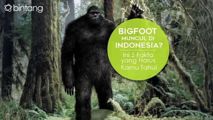 [Bintang] Bigfoot muncul di Indonesia? Ini 5 Fakta yang Harus Kamu Tahu!