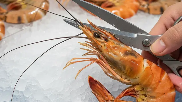 Cara Paling Efektif Membersihkan Kotoran Udang. AI