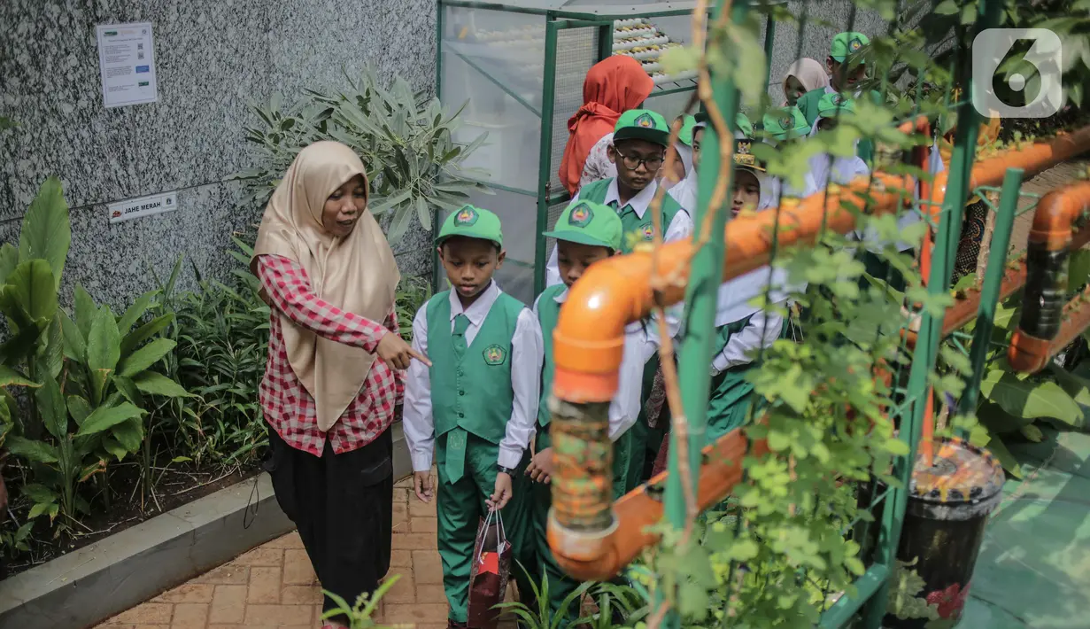 Petugas memberikan penjelasan bercocok tanam metode hidroponik terhadap anak-anak SD Laboratorium Jakarta di Balaikota Farm, Jakarta, Selasa (15/10/2019). Kegiatan belajar di luar ruangan ini untuk mengenal bibit, cara menanam, nutrisi dan media tanam hidroponik. (Liputan6.com/Faizal Fanani)