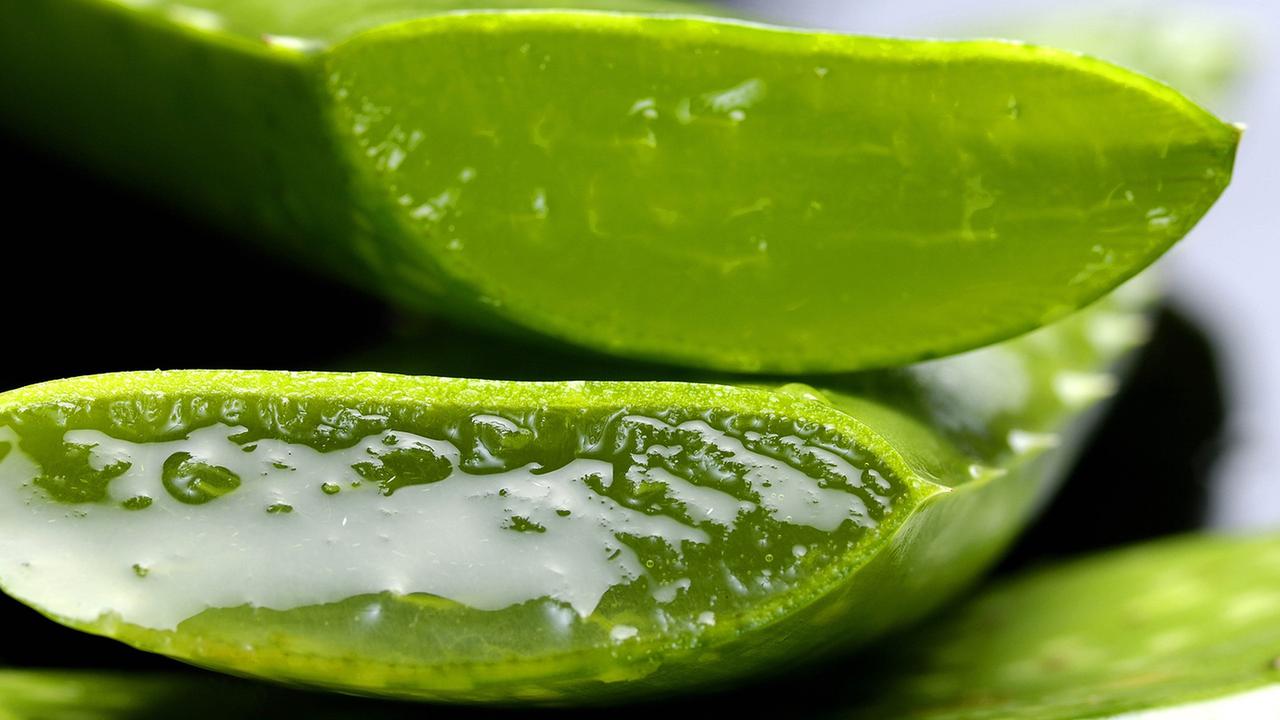 Jangan Asal, Ini 5 Bahan Alami yang Mampu Mengatasi Jerawat