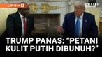 Suasana Oval Office berubah tegang saat Presiden Donald Trump menghadapkan langsung Presiden Afrika Selatan Cyril Ramaphosa dengan tudingan kontroversial: pembunuhan sistematis terhadap petani kulit putih!