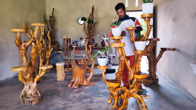 Koordinator Rumah Produksi Sahabat Akar, Ali Imran, dengan rak tanaman hias yang siap jual.