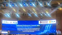 PLN Fokus Eksekusi Hydropower untuk Listrik Rendah Emisi