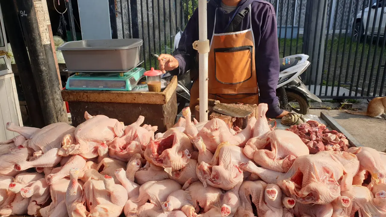 kenaikan harga daging ayam telah mengalami kenaikan hingga empat kali dalam dua pekan terakhir. Awalnya daging ayam diperdagangakan di angka Rp 28 – 30 Ribu, kemudian naik di kisaran angka Rp 30-32 ribu per kilogram.
