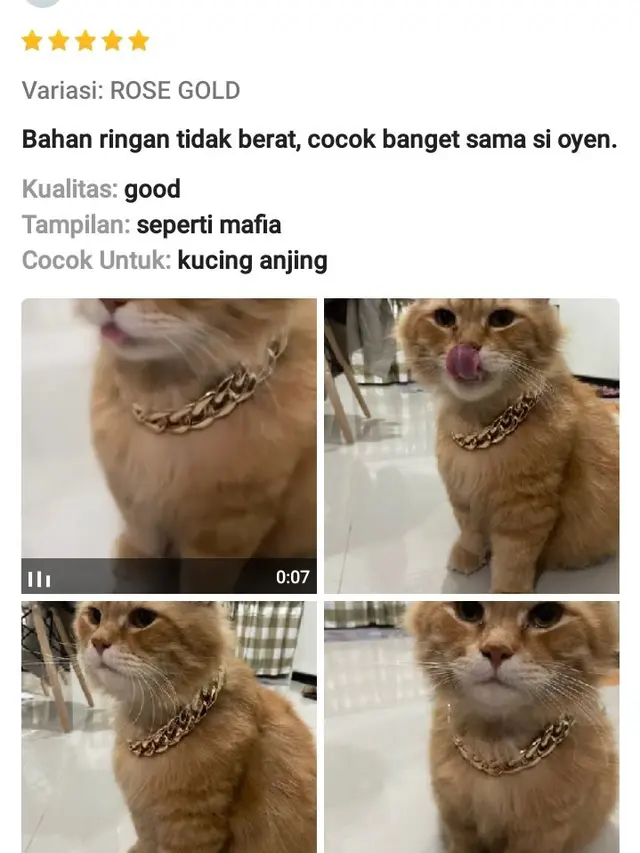 6 Ulasan tentang Aksesori Hewan di Toko Online Ini Kocak,