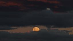 Fenomena strawberry moon atau Bulan Stroberi terakhir kali muncul pada 2006 dan akan datang kembali pada tahun 2043. Tampak dalam foto, bulan purnama yang dikenal sebagai 'Bulan Stroberi' muncul di atas Pantai Bondi di Sydney, Australia pada 11 Juni 2025. (SAEED KHAN/AFP)