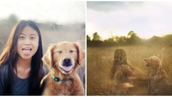 Foto : copyright boredpanda.com