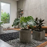 Desain Taman Kering di Dalam Rumah Minimalis (AI Generated)