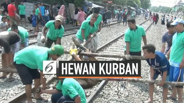 Sudah bertahun-tahun warga Kampung Sunter Tanjung Priok Jakarta Utara memotong hewan kurban di piggir rel kereta api. Keterbatasan lahan menjadi penyebabnya. Warga telah memimnta izin PT KAI untuk melakukan kegiatan ini.