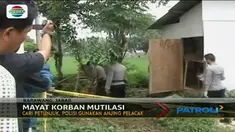 Demi mengungkap identitas korban mutilasi perempuan tanpa kepala dan kaki di Karawang, polisi turunkan 2 anjing pelacak.