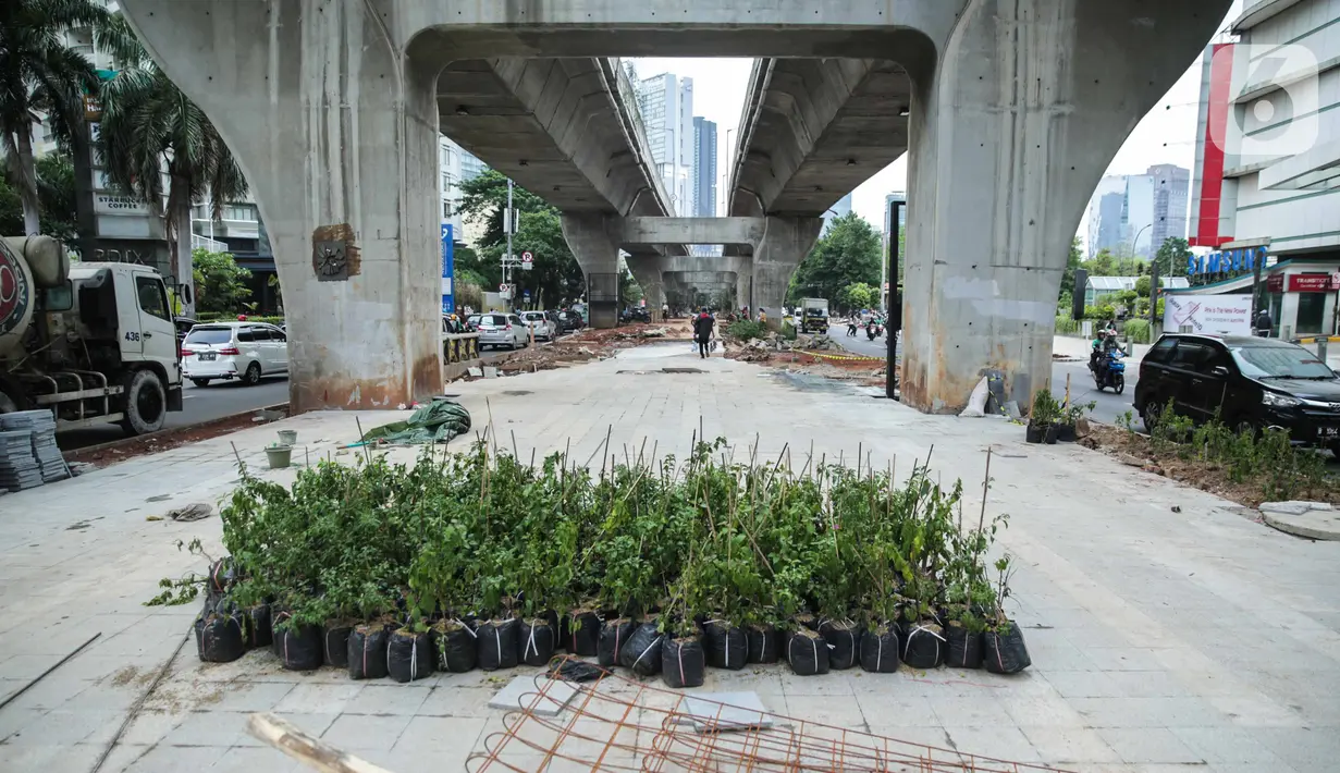 Sejumlah tanaman yang disiapkan terlihat saat pengerjaan proyek revitalisasi trotoar di sepanjang Jalan Satrio-Casablanca, Jakarta Selatan, Selasa (10/12/2019). Kawasan ini akan menjadi tempat warga berkegiatan. (Liputan6.com/Faizal Fanani)