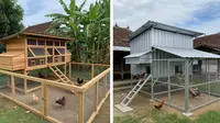 Kandang Ayam dari Kayu vs Baja Galvanis: Mana Lebih Tahan Lama?