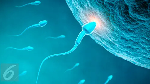 Bokeptante Vs Bocahsd - Terlalu Royal Membuang Sperma, Awas Kena Spermatorrhea - Health Liputan6.com