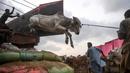 Pedagang menurunkan sapi dari truk di pasar ternak yang disiapkan untuk hewan kurban pada Hari Raya Idul Adha di Karachi, Pakistan pada Jumat (10/7/2020). Idul Adha merupakan salah satu hari raya umat Islam di dunia yang identik dengan penyembelihan hewan kurban bagi yang mampu. (Asif HASSAN/AFP)
