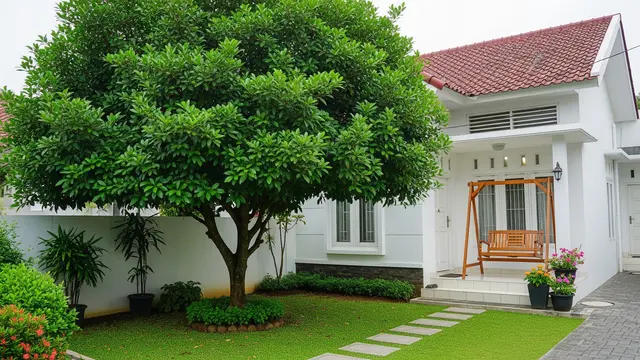 Tanaman Rindang Anti Kotor Cocok untuk Halaman Rumah Minimalis/Gemini AI