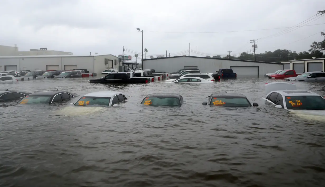 Sejumlah mobil terendam banjir di sebuah dealer setelah badai Harvey menerjang di Dickinson, Texas, Minggu (27/8). Badai Harvey menghantam Texas pada Jumat malam dengan hujan deras dan angin berkecepatan 215 kilometer per jam. (AP Photo)